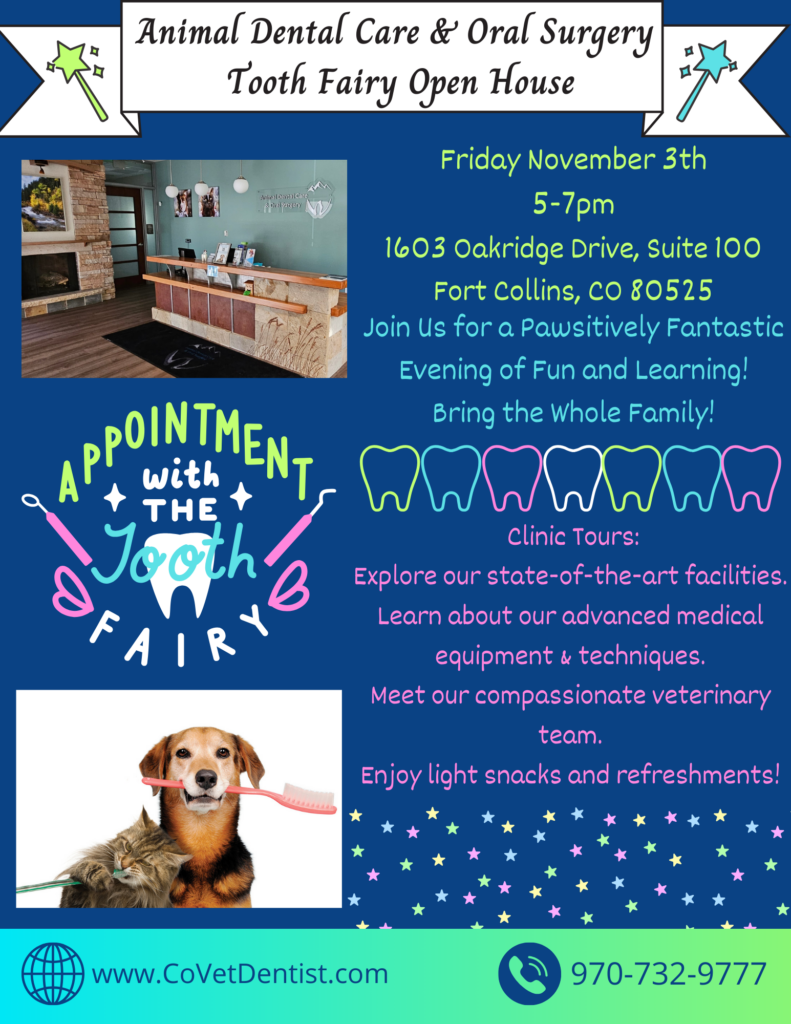 Open House Event Flyer for Animal Dental Care and Oral Surgery in Fort Collins